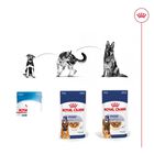 Royal Canin Maxi Ageing sobre en salsa para perros, , large image number null